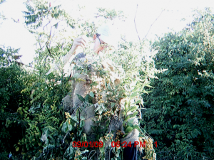 bumpkin-dan-ghillie